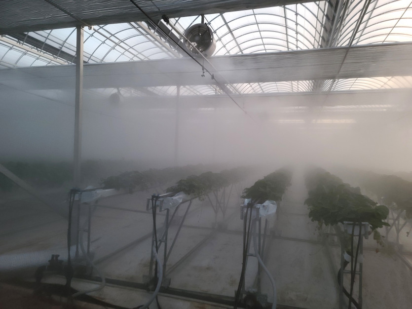 dfddc5767f1641eb02f9addaa9ca0919_1740098998_8703.jpeg
