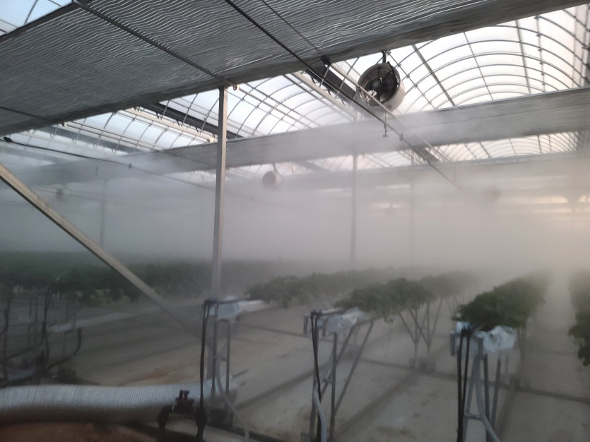 dfddc5767f1641eb02f9addaa9ca0919_1740099000_6975.jpeg