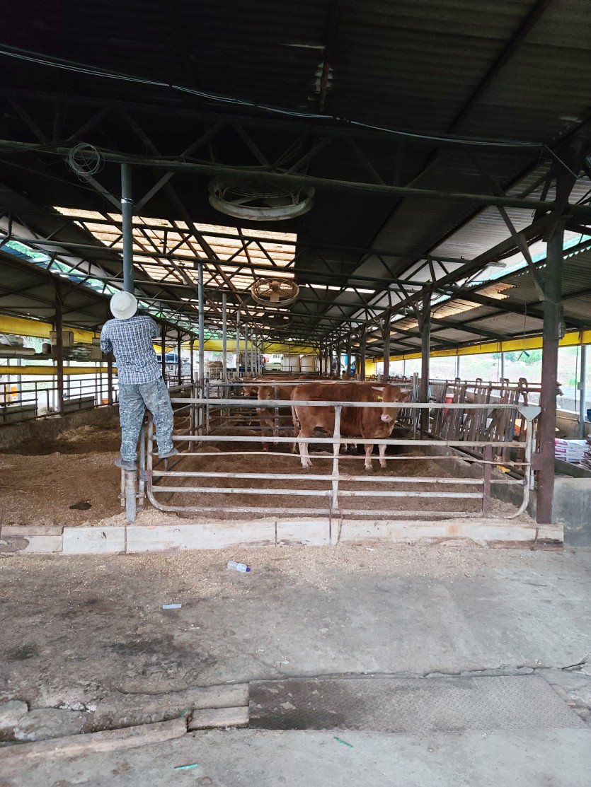 dfddc5767f1641eb02f9addaa9ca0919_1740099186_6863.jpeg